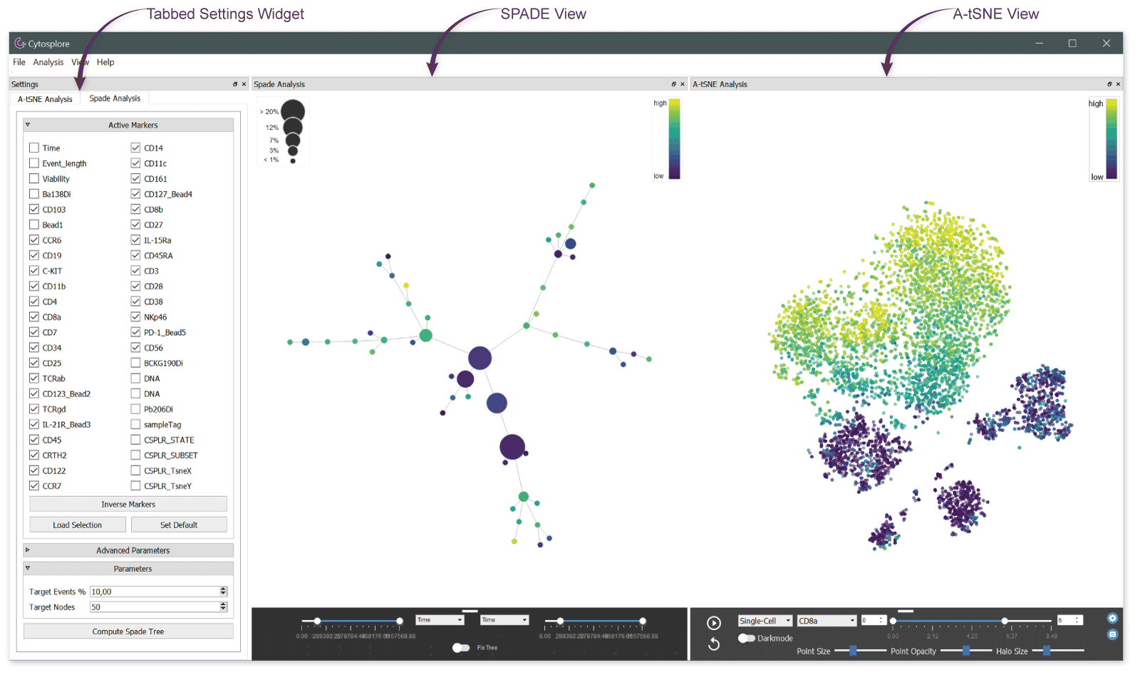 Cytosplore With Two Analyses Open